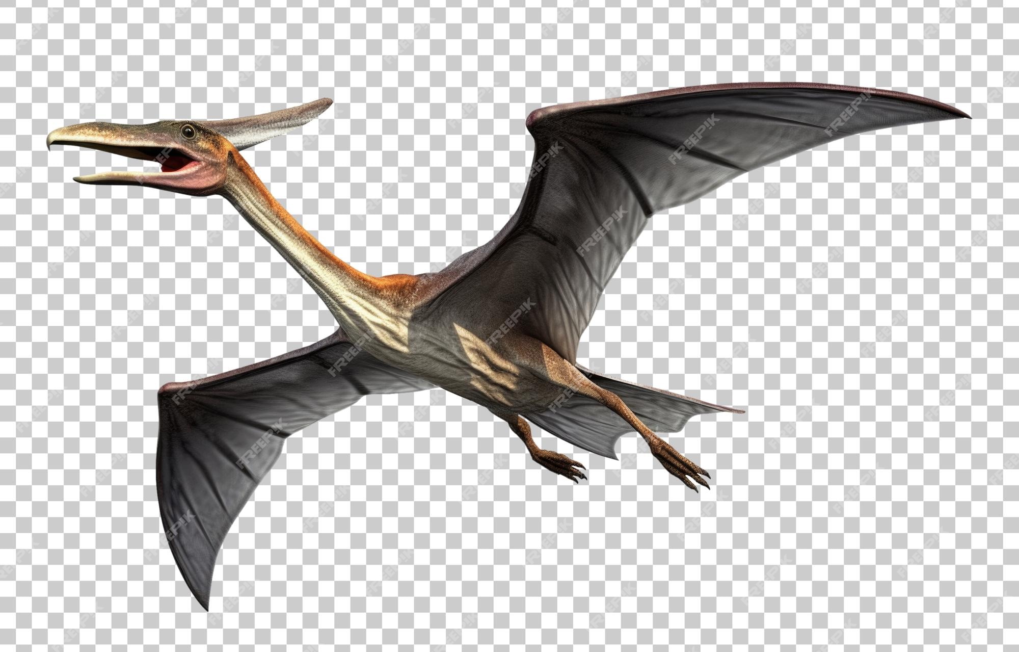 Premium PSD  Flying pterodactyl concept isolated on transparent background