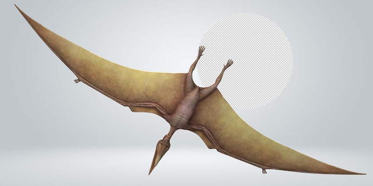 PSD pterodactyls isolated on a transparent background
