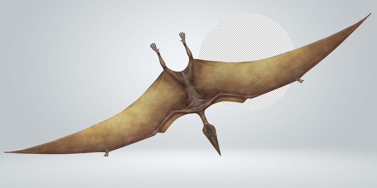 PSD pterodactyls isolated on a transparent background