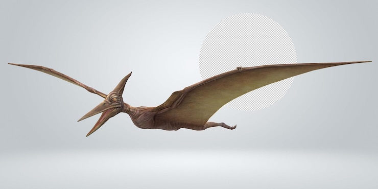 PSD pterodactyls isolated on a transparent background