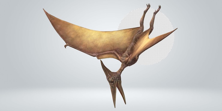 PSD pterodactyls isolated on a transparent background
