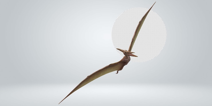 PSD pterodactyls isolated on a transparent background
