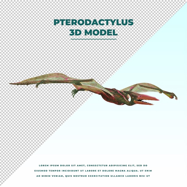 PSD pterodactylus