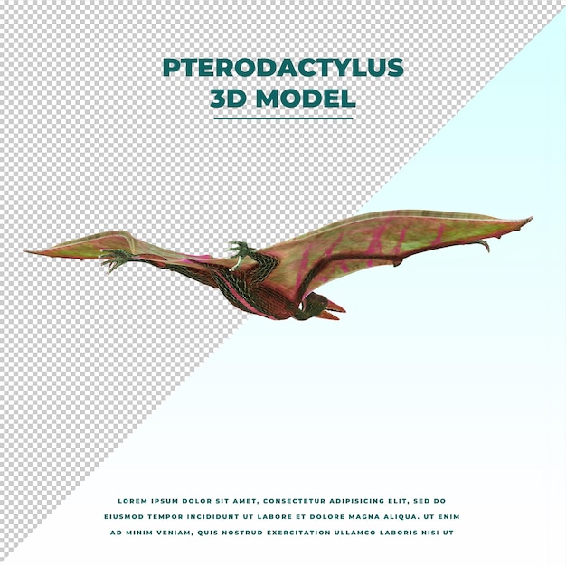 PSD pterodattilo