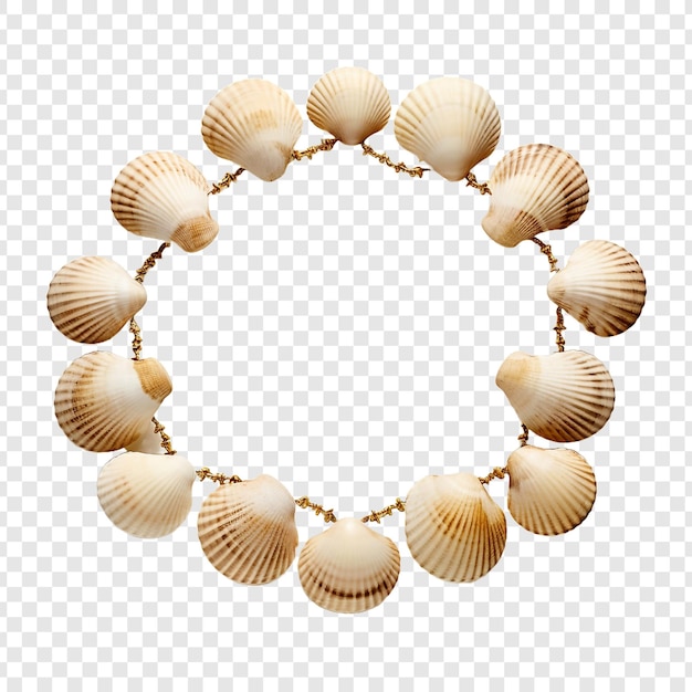 PSD puka shell necklace jewellery isolated on transparent background