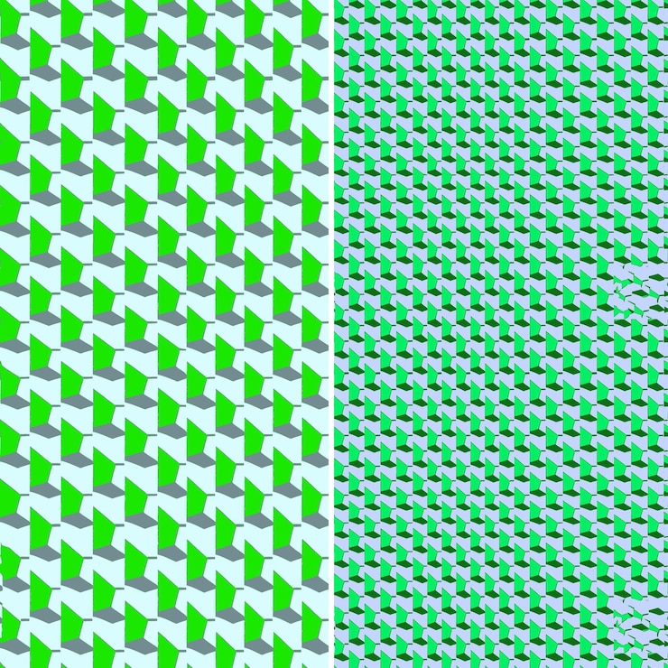 PSD pulasan with brown skin and sweet design with houndstooth pa unique tropical fruit pattern vector