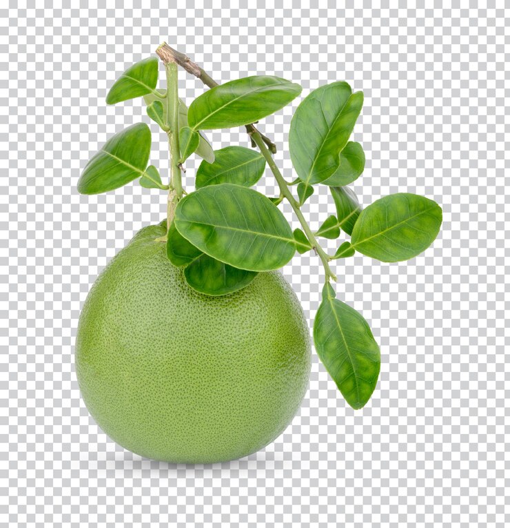 Pummelo met geïsoleerde bladeren