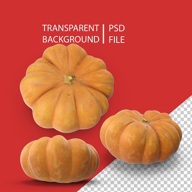 Pumpkin clean png