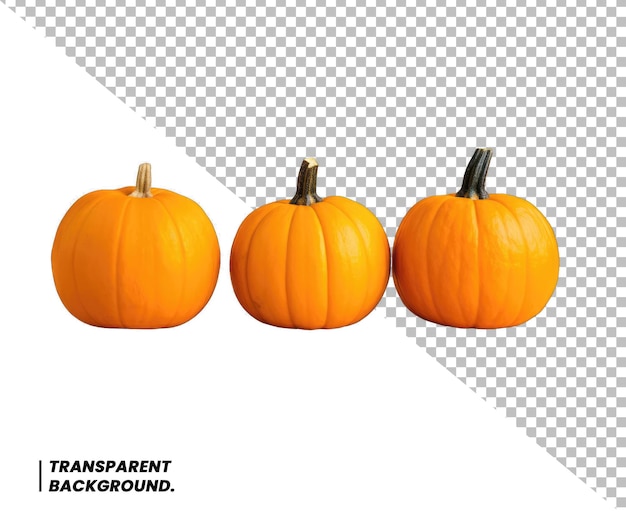 Sfondo trasparente psd di zucca jack o lantern