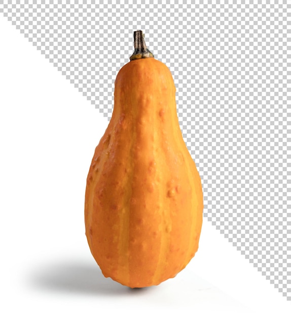 Pumpkin mockup isolated from background