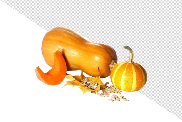 PSD pumpkin png