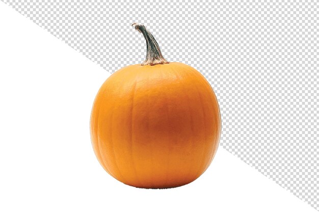 PSD pumpkin png