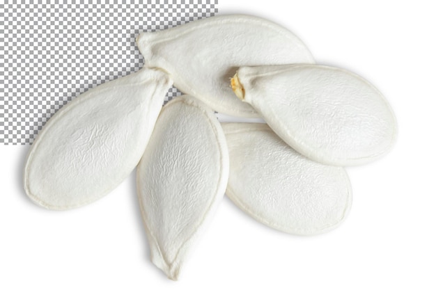 Pumpkin seeds isolated on transparent background