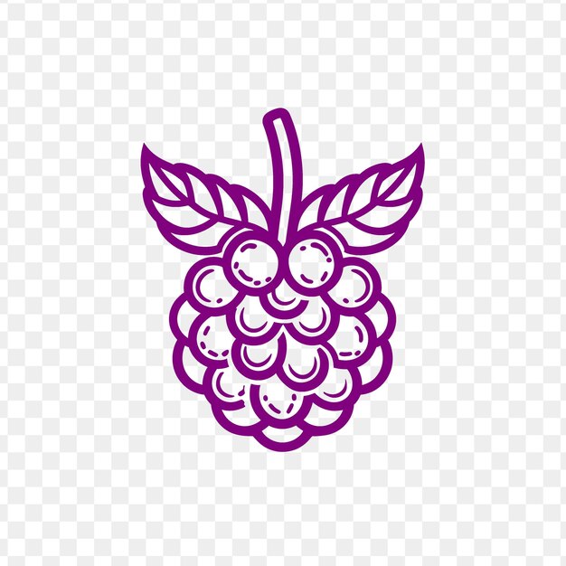 A purple blackberry on a transparent background