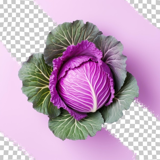 PSD purple cabbage on a transparent background organic top view ample space for your text