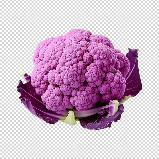 PSD cauliflower viola isolato su sfondo trasparente