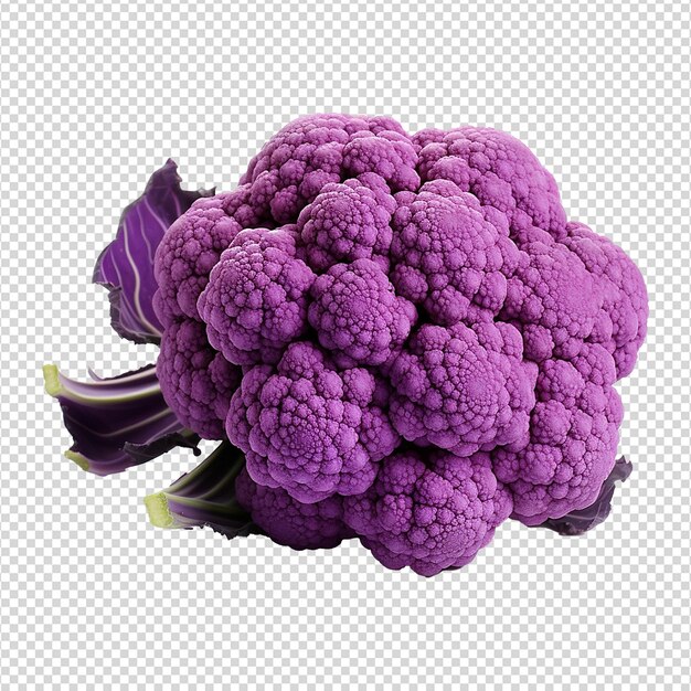 Cauliflower viola isolato su sfondo trasparente