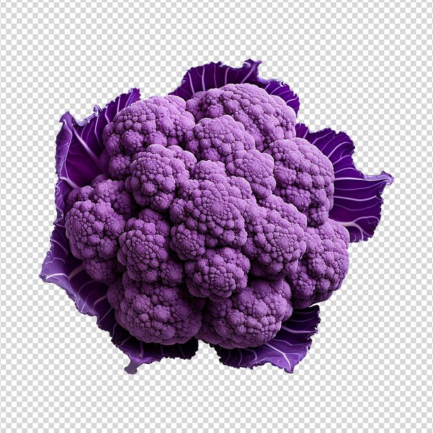 PSD cauliflower viola isolato su sfondo trasparente