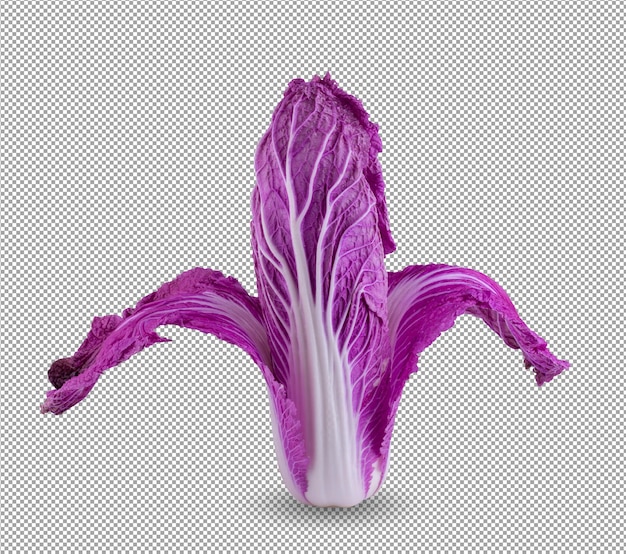 PSD purple chinese cabbage isolated on alpha background.