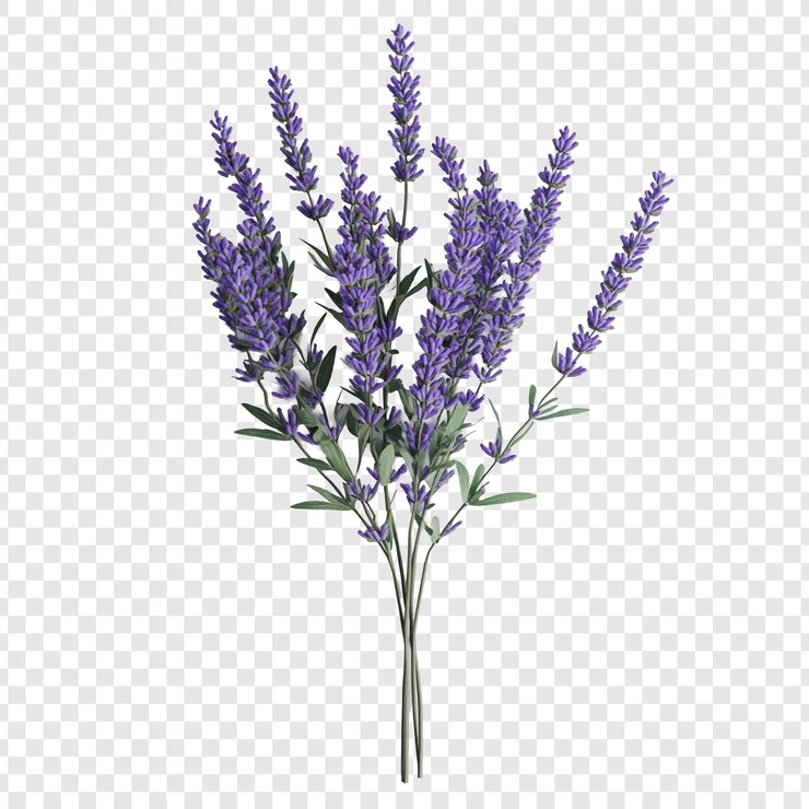 PSD purple lavender bouquet