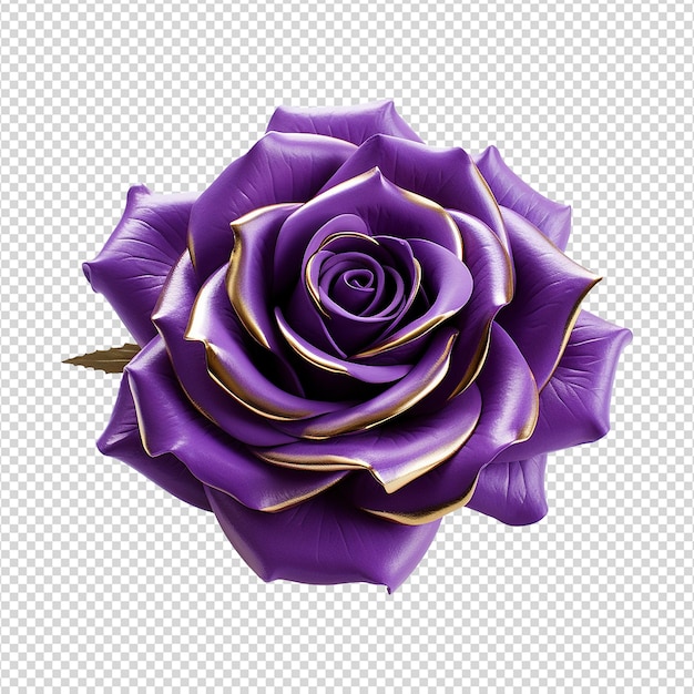 Purple rose flower 3d render isolated on transparent background