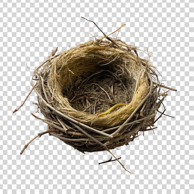 PSD puste gniazdo ptaków odizolowane na przezroczystym tle