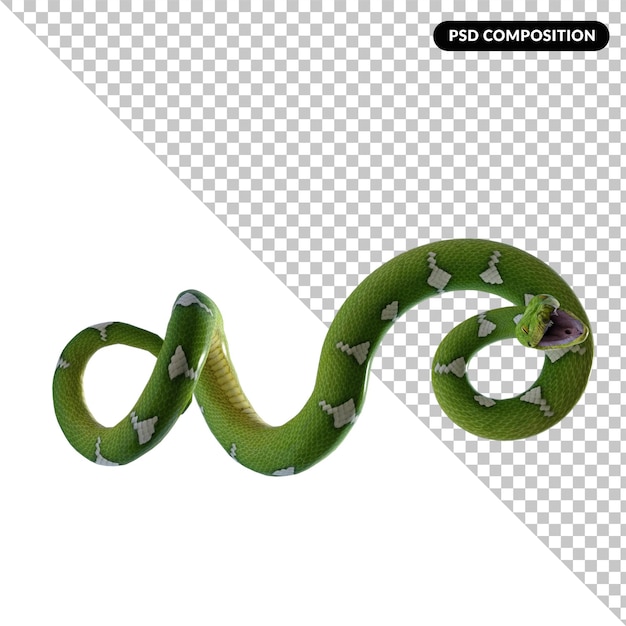 PSD pyton snake isolated 3d rendering