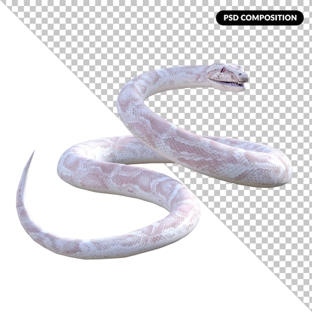 Premium PSD | Pyton snake isolated 3d rendering