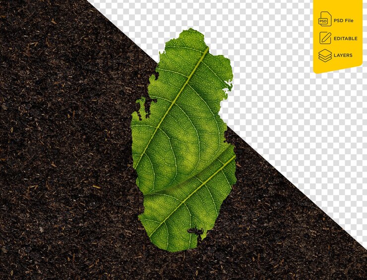 PSD qatar map made of green leaves on soil background ecology concept