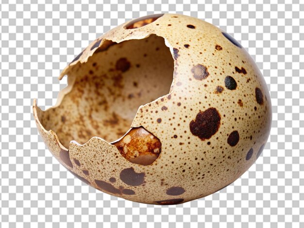 PSD quail egg isolated on transparent background