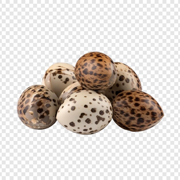 PSD quail eggs isolated on transparent background