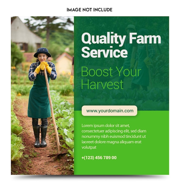 Quality Farm Service Boost Your Harvest