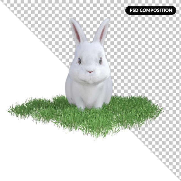 Rabbit on grass isolated 3d