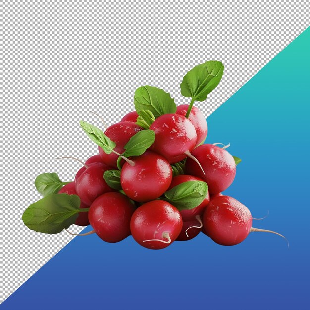 PSD radish png