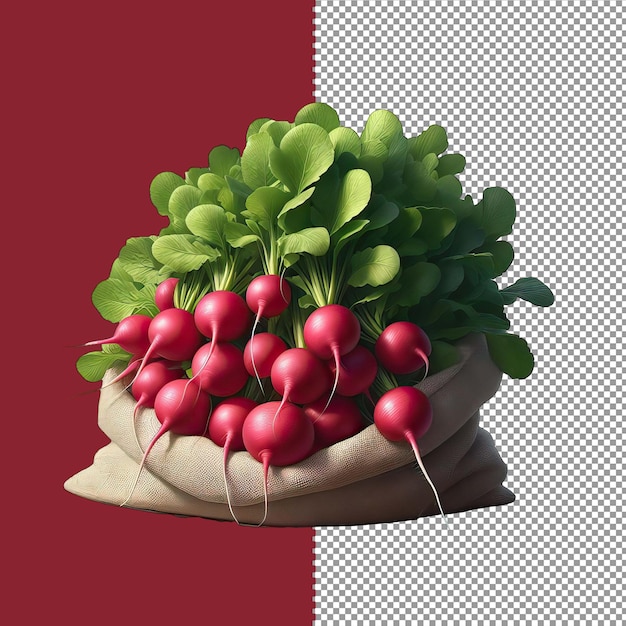 Radish red splendor png