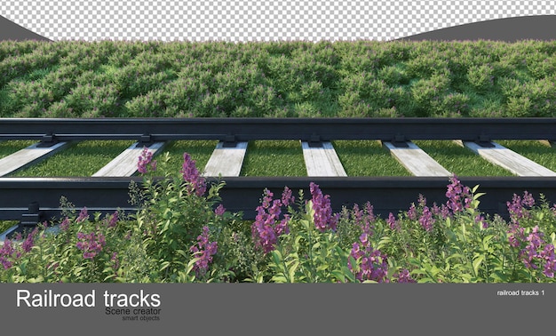 PSD railroad tracks in flower and shrub gardens