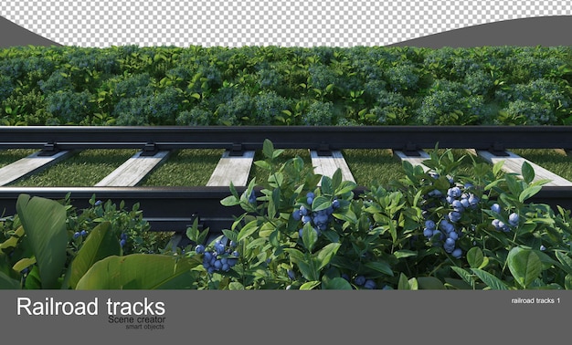 PSD binari ferroviari in giardini di fiori e arbusti