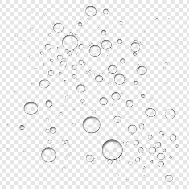雨の滴(PNG) 水の滴 (PNG) 透明の雨の効果 (天気デザイン)