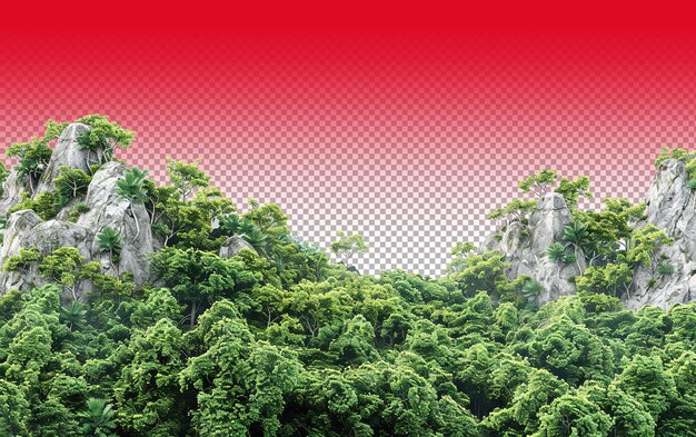 PSD 雨林の風景 png