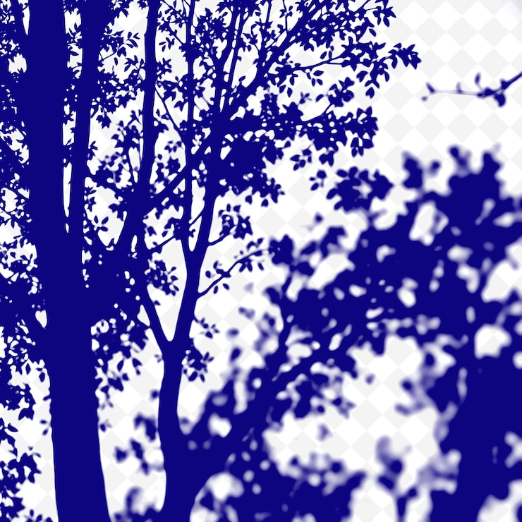 PSD rainforest tree shadows creating dense solid patterns sharp cle png shadow cast illustrationsa