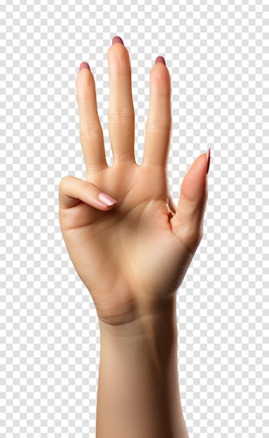 Raised hand with four fingers isolated on transparent background
