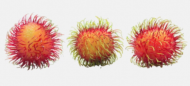 PSD rambutan png