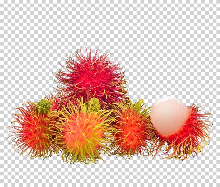 Rambutans na białym tle Tajlandia owoce wysoka witamina Apremium foto psd