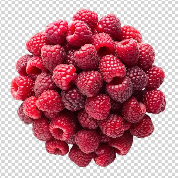 rash berries isolated on transparent background