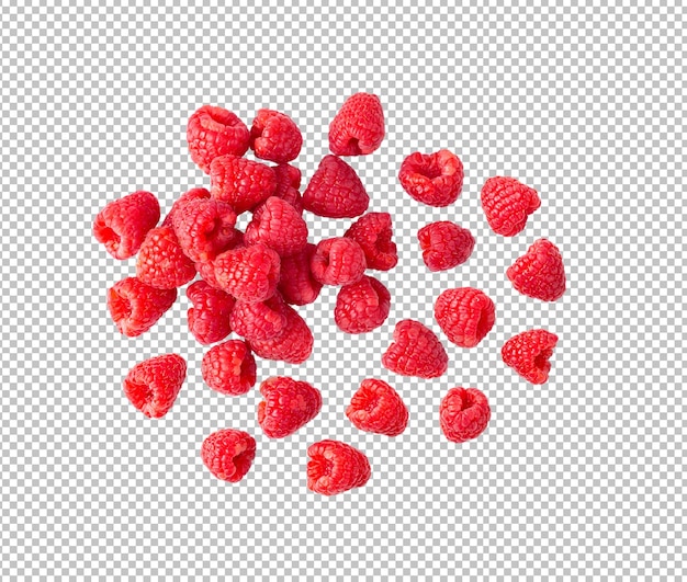 PSD raspberries isolated on alpha layer