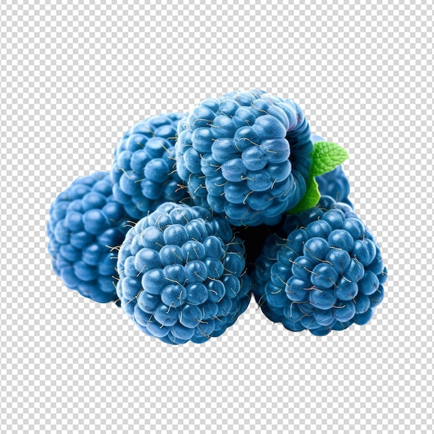 PSD raspberries isolated