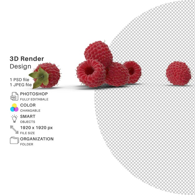 PSD raspberry 3d modeling psd file realistic