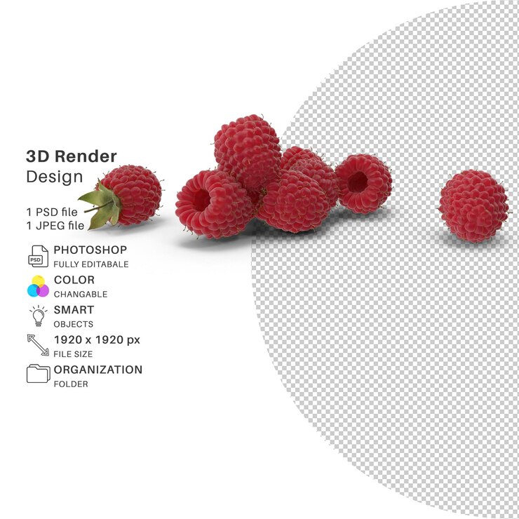 PSD raspberry 3d modeling psd file realistic