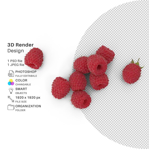 PSD raspberry 3d modeling psd file realistic