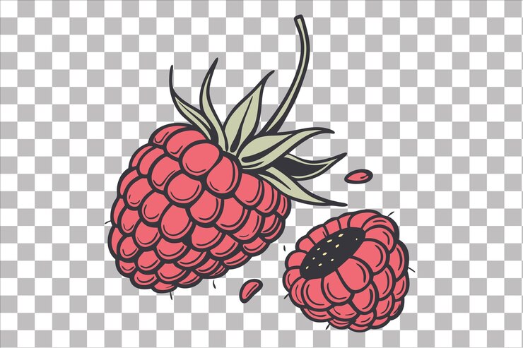 PSD raspberry handdrawn vector illustration vintage botanical fruit art